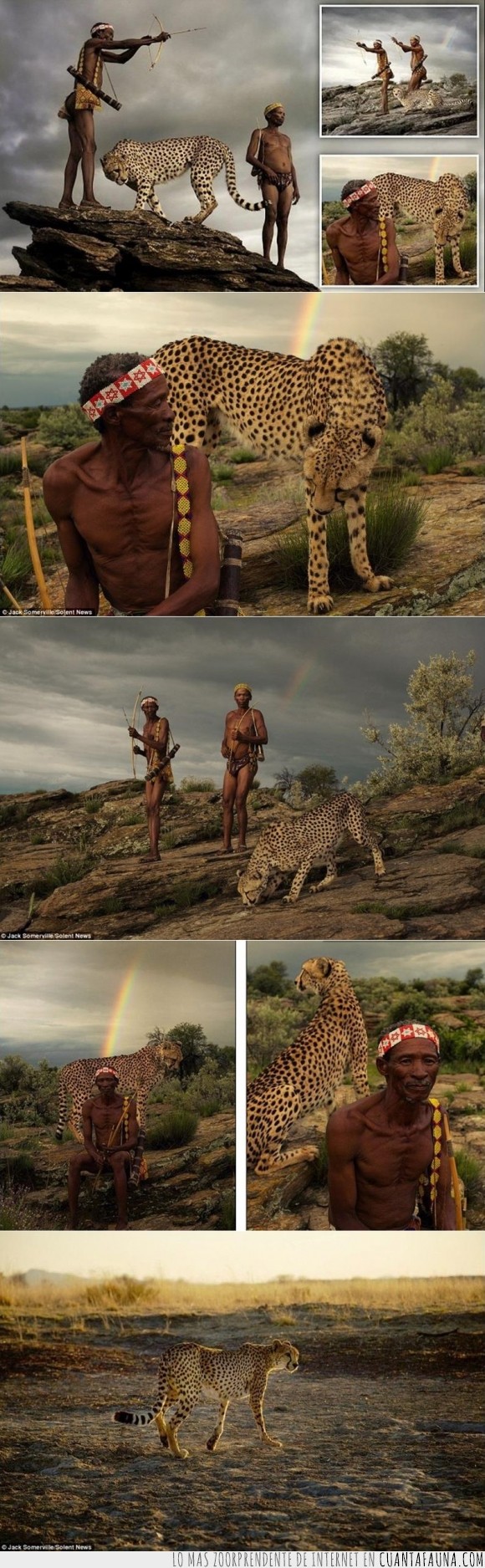 África,basarwa,bosquimanos,cazar,guepardos,Jack Somerville,Namibia,tribu,Tribu San