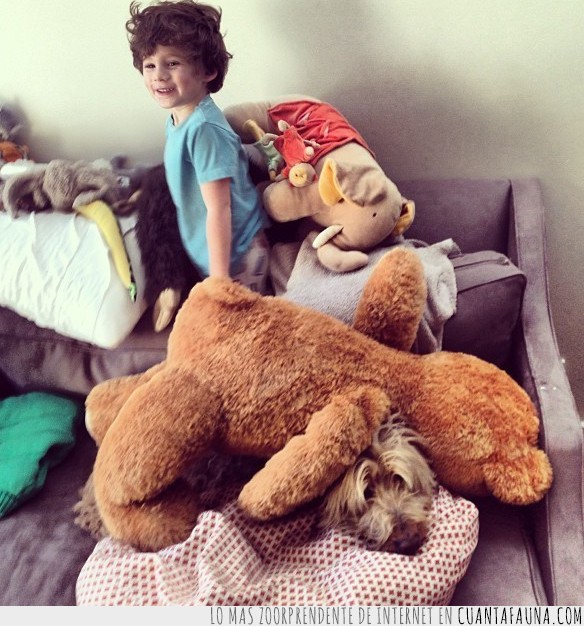 perros,fotos,escondidos,buscar,encontrar,juego,lista