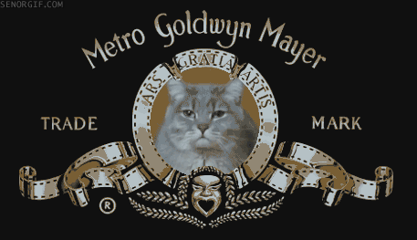 bostezar,gato,internet y los gatos,leon reducido,metro goldwyn mayer
