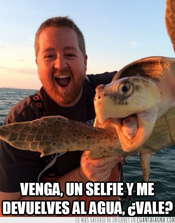 barba,foto,selfie,sonrisa,tortuga,la devolvieron al agua,pescador