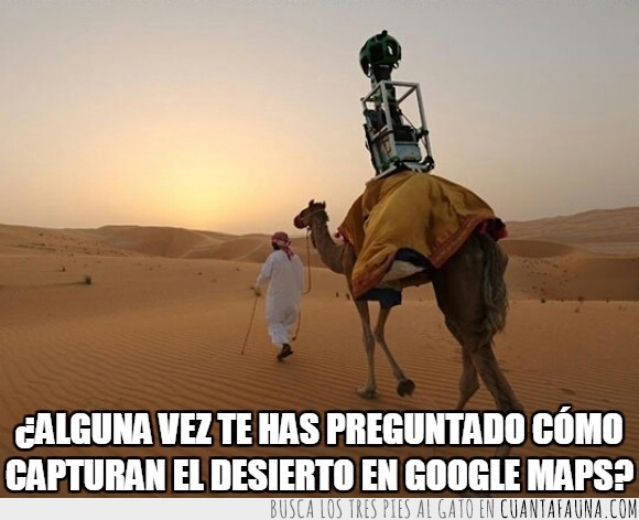 camara,camello,dromedario,fotos,Google,Google Maps,mapas,Street View