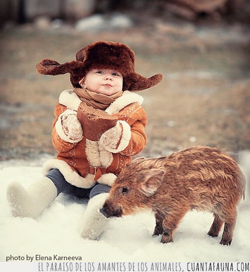 fotografía,niños,animales,perro,caballo,conejo,lobo,oveja,cabra,lechuza,ciervo,salvajes,increíbles,Elena Karneeva