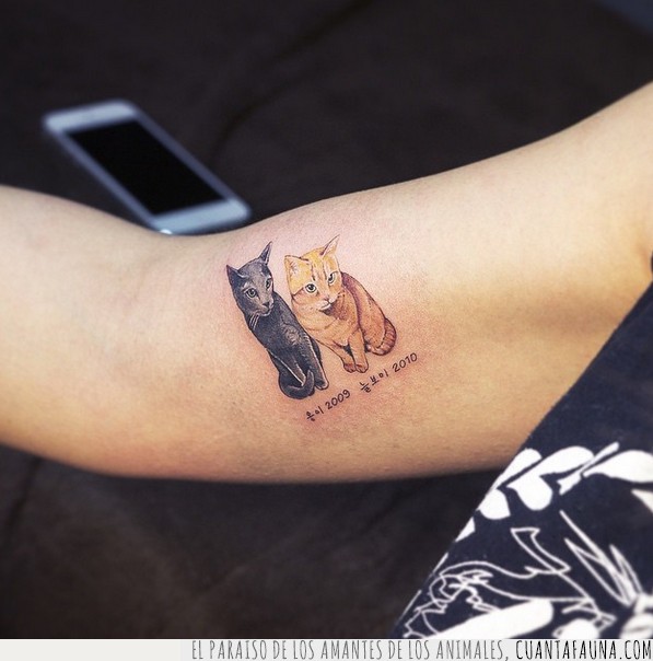 tatuajes,Corea,animales,gatos,perros,tigre,ballena,preciosos,mascotas,tattoo,lista