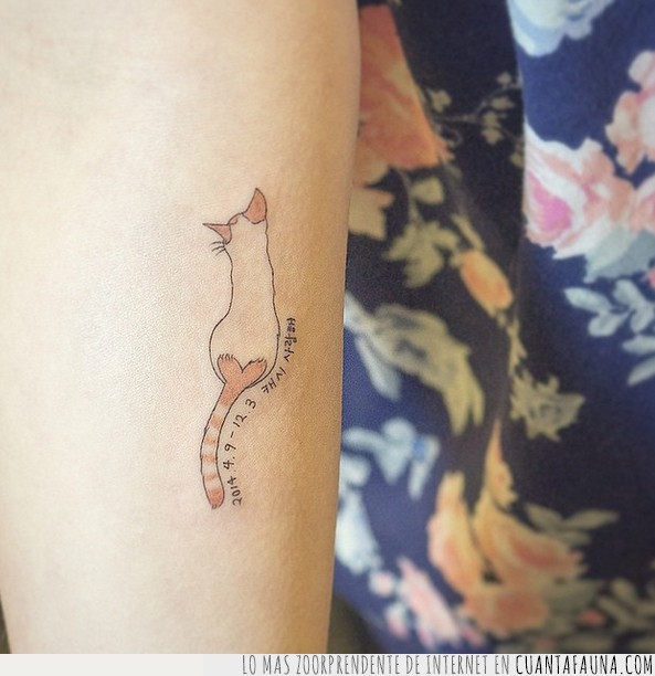 tatuajes,Corea,animales,gatos,perros,tigre,ballena,preciosos,mascotas,tattoo,lista