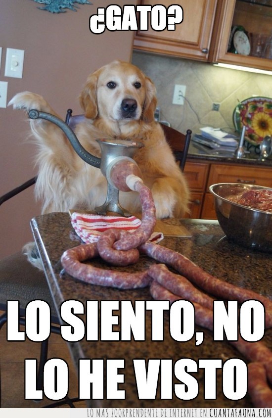 Perro,Carne,Carnicero,Salchicha