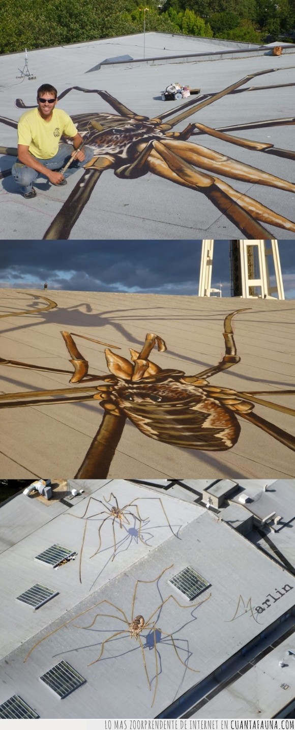 3d,araña,Arte,artista,aviones,Marlin Peterson,perspectiva,pintura,techos,tejados