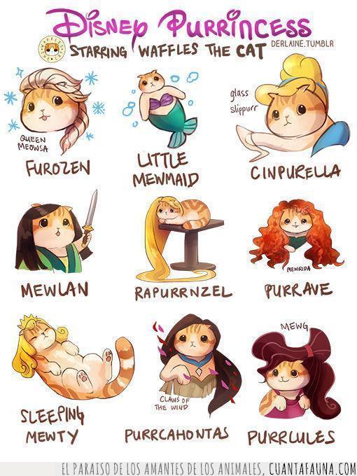 gatos,cute,princesas disney