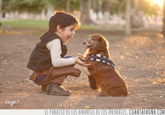Chewbacca,cosplay,crio,disfraz,feliz,Han Solo,niño,perro,Star Wars