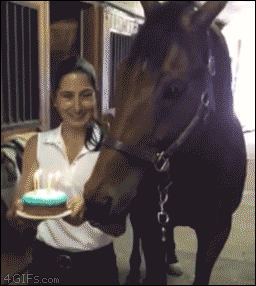 caballo,soplar,tarta,velas