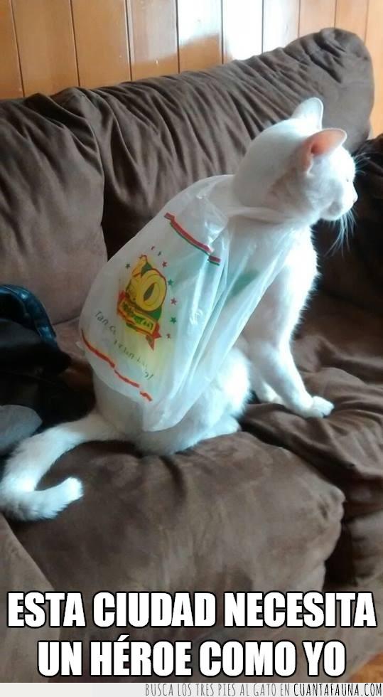 Súper Gato,el heroe que esta ciudad necesita,sofa,capa bolsa de plastico