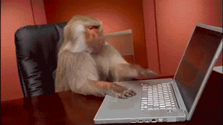 babuino,bloqueado,chimpance,Ctrl Alt Supr,desespero,gracioso,humor,macaco,mono,ordenador,portátil,urgente