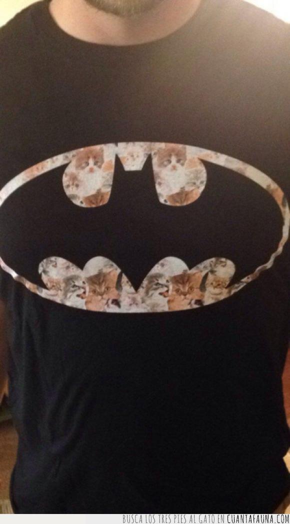 Batman,camiseta,gatos,logo,símbolo,t shirt