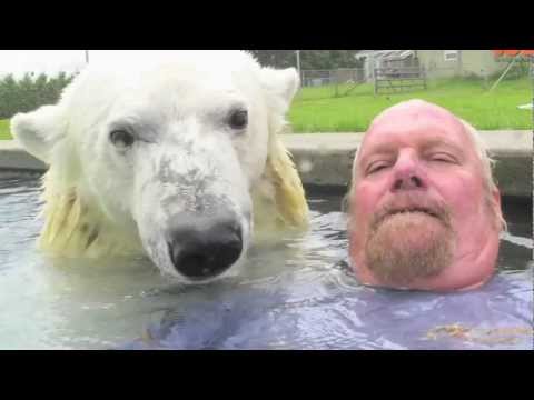 32113 - Grizzly man. el hombre que se baña con un oso polar