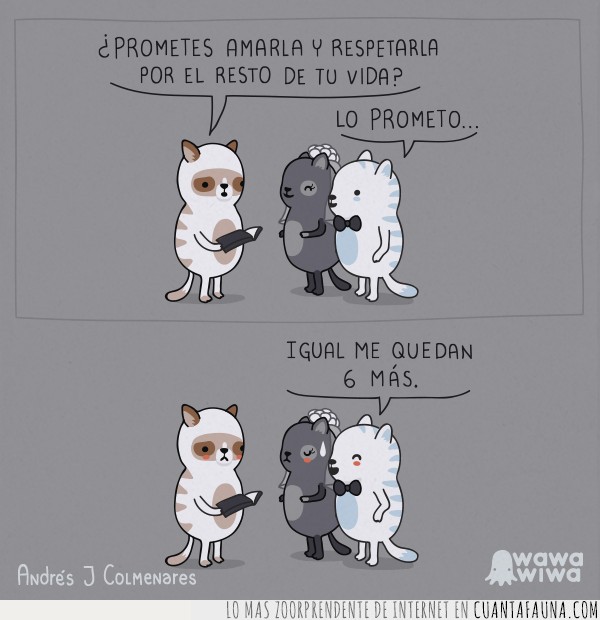 jirafa,conejo,vi&ntilde;eta,humor,grafico,animales