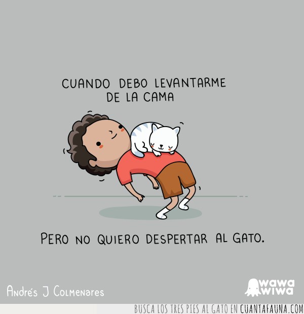 jirafa,conejo,vi&ntilde;eta,humor,grafico,animales