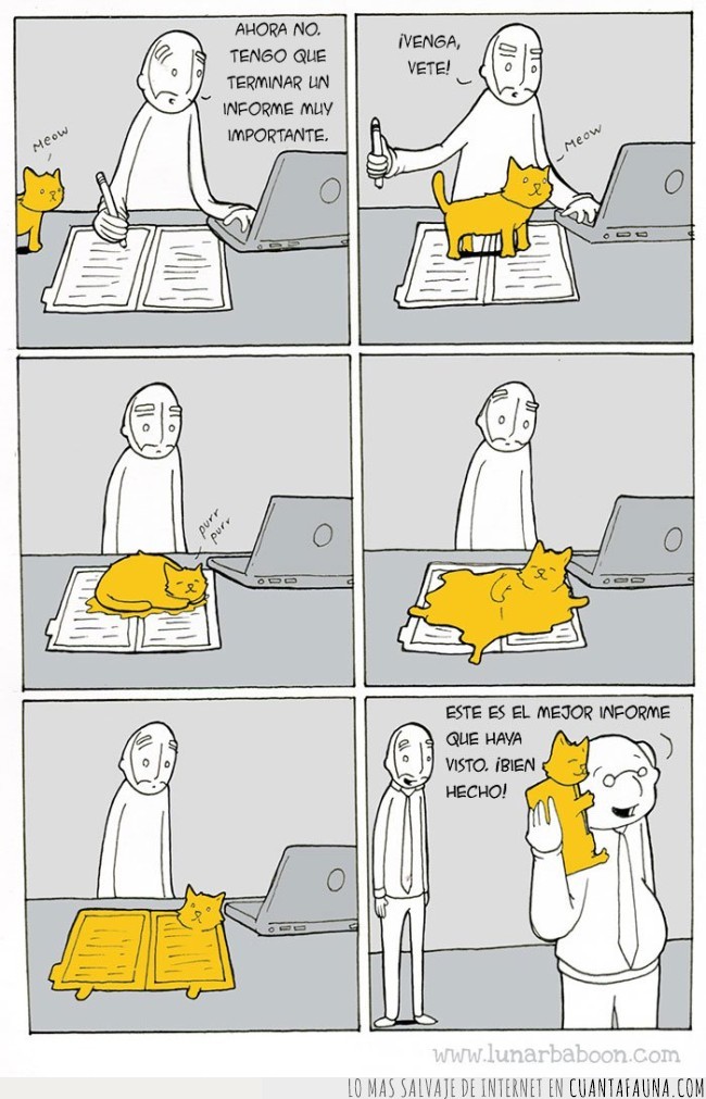 viñetas,gatos,la vida con un gato