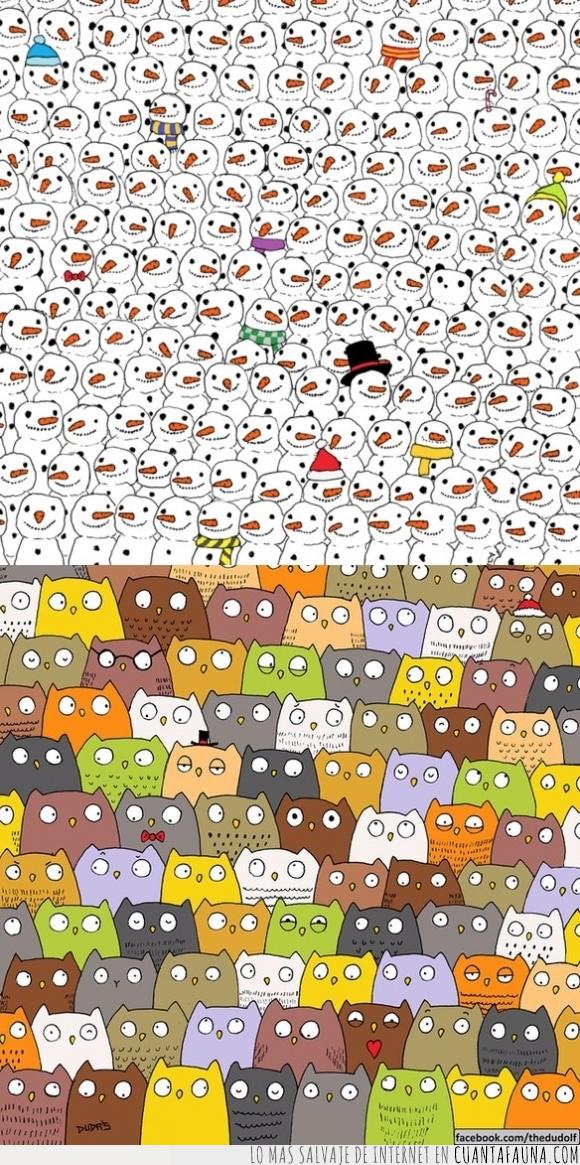 buho,buscar,gato,muñeco,nieve,panda