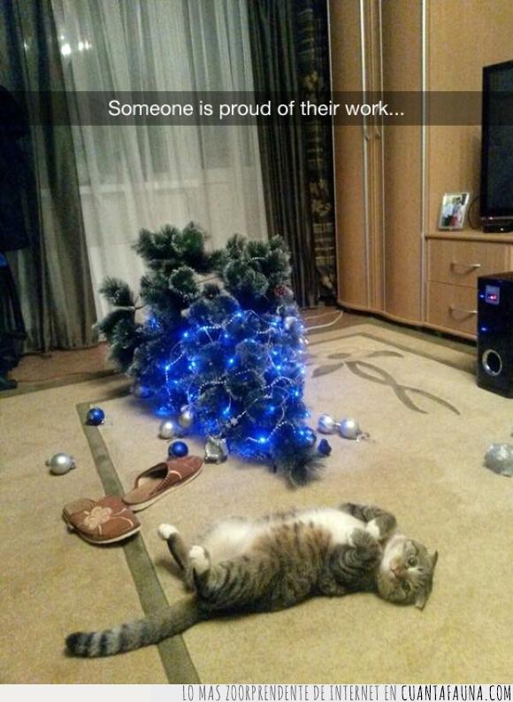 árbol,esferas,felinos,gatos,navidad,orgullo,orgulloso,tirar,travesura