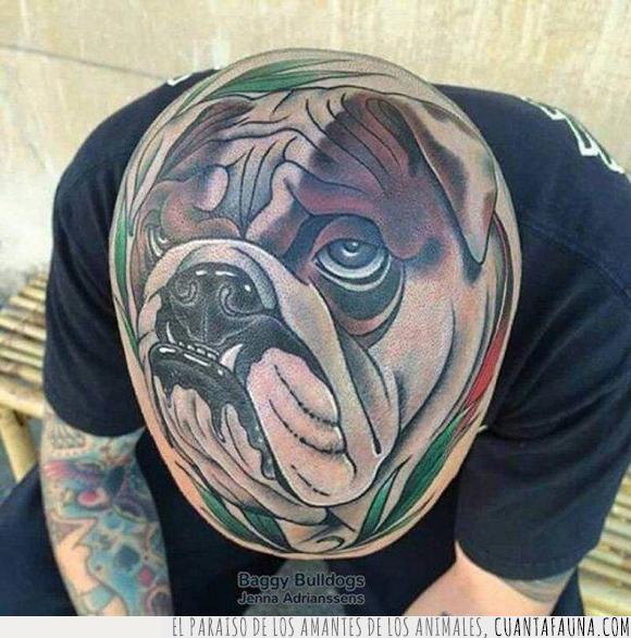 bulldog,cabeza,calva,can,perro,tatuaje