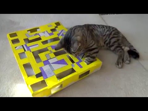 36673 - Una manualidad muy interesante para los que tengan gatos: ¡juego interactivo!