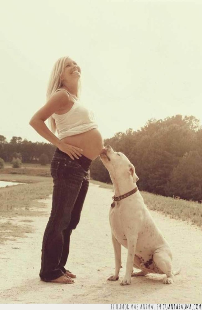 perro,embarazada,dueña,bebé,niño,amigo,mujer,madre,embarazo,barriga,esperar