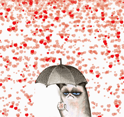 amor,aire,lluvia,protección,sombrilla,grumpy cat