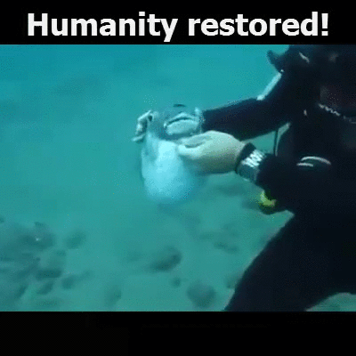 fe,humanidad,pez,restaurada,salvar