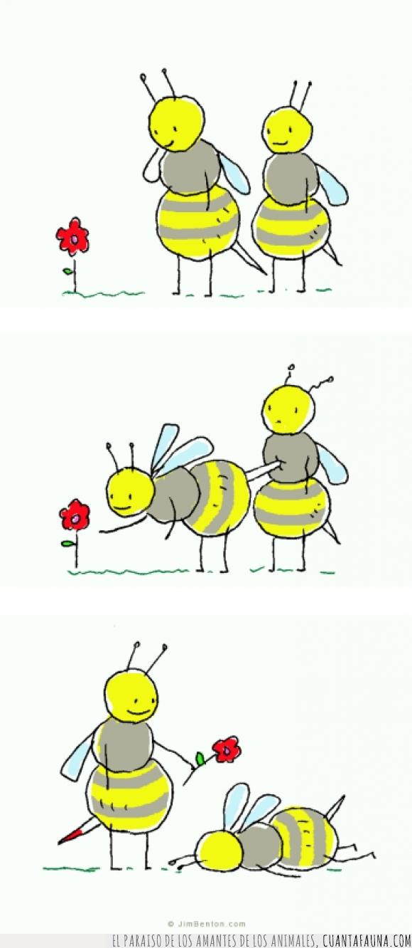 abejas,caricatura,cómic,dibujos,humor