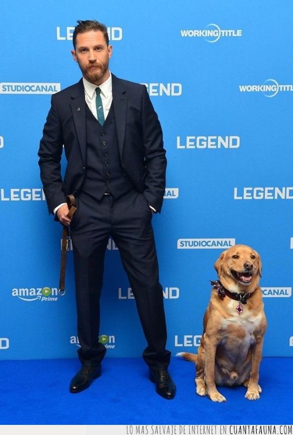 actor,entrega de premios,perro,Tom Hardy