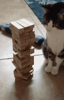 juego,gato,esperar,torre,equilibrio,madera,jenga,pata