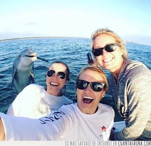 chicas,delfin,foto,invitado,photobomb,selfie,sorpresa