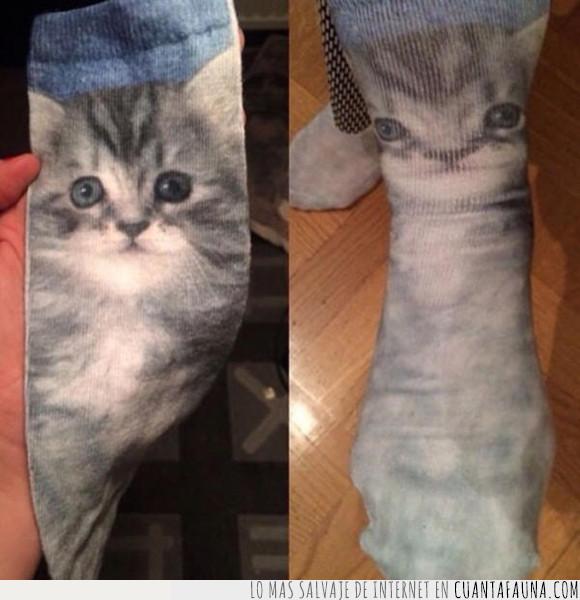 calcetines,fail,gato