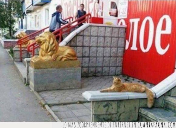 gato,león,mentir,trabajo