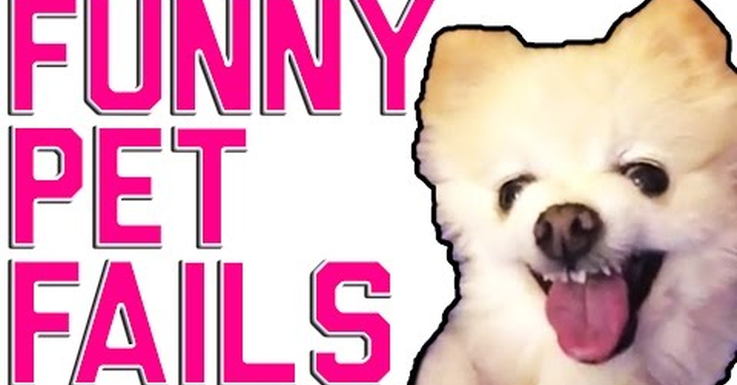 Youtube Funny Fail