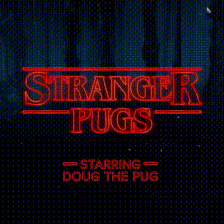 perros,stranger pugs,stranger things
