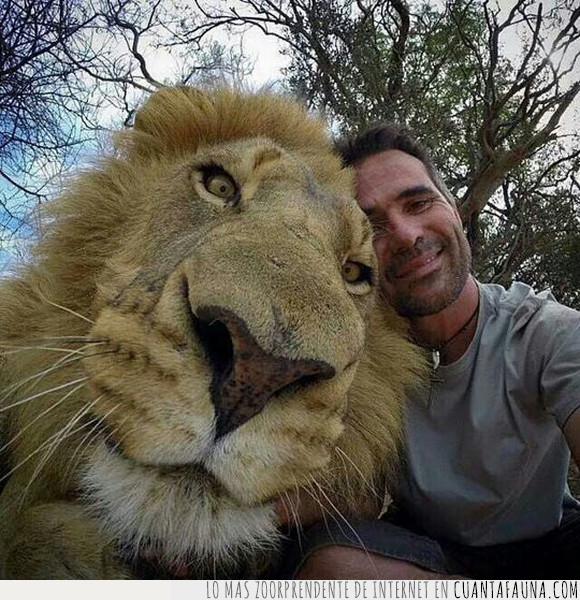 foto,leon,selfies,zoo