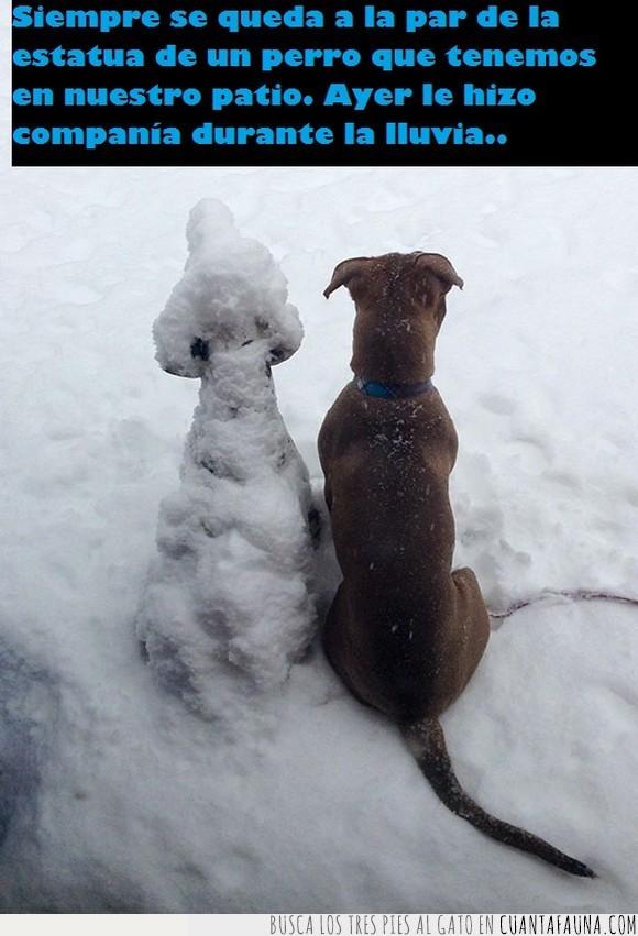 cuidar,estatua,nieve,perros