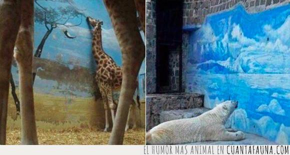 decorado,jirafa,oso polar,triste,zoo