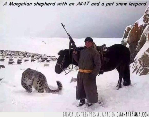 ak-47,arma,caballo,leopardo de las nieves,Mongol,nieve
