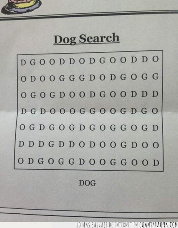 dog,jaja,perro,¿donde esta?