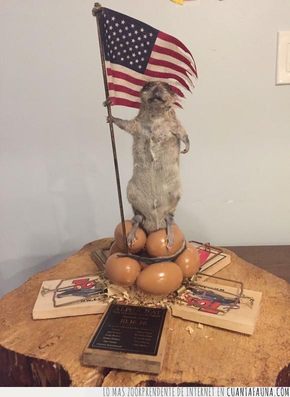 bandera,huevos,monumento,rata