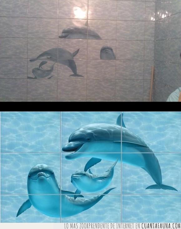 delfines,mosaico