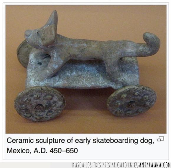 arqueología,can,perro,ruedas,skate