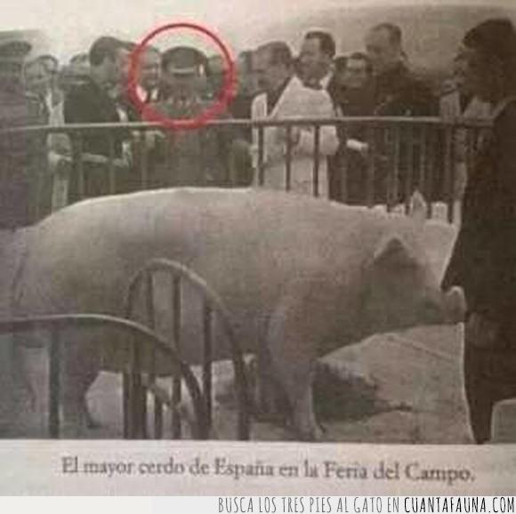 Cerdo,El mejor pie de página de la historia,Feria del Campo,Francisco Franco,Snowball