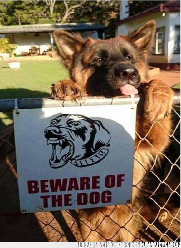 cartel,peligroso,perro,sí claro