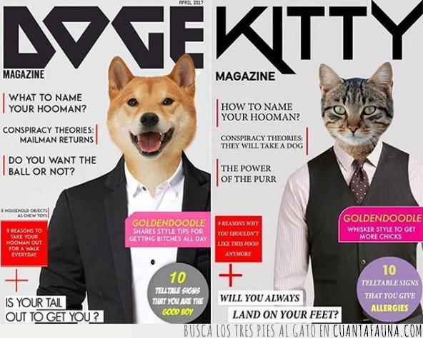 actualidad,gatos,perros,prensa,publicación,revista