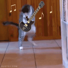 gato,guitarrista,otra vida,solo