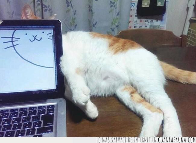 gato,ordenador,portátil,meme,andante,cabeza,dibujo,pantalla,monitor