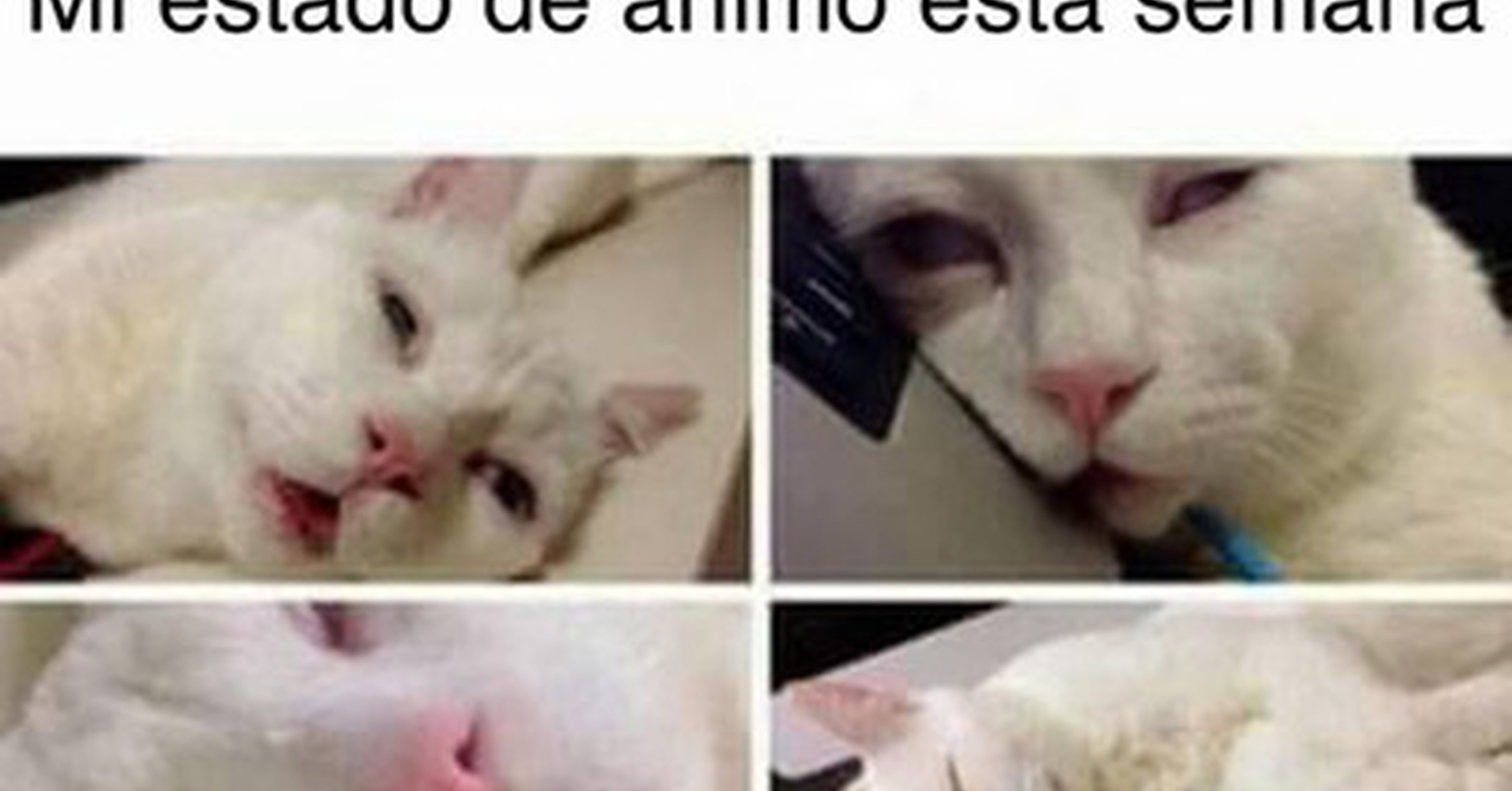 Голые выходные должны пройти успешно