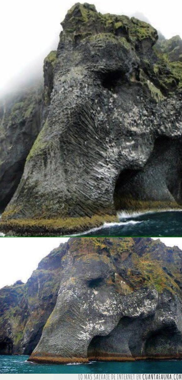 elefante,islandia,rocas,trompa